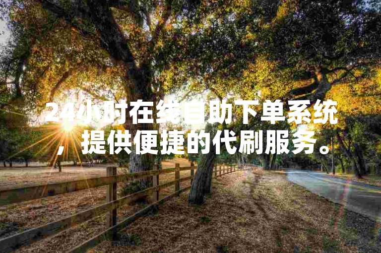 24小时在线自助下单系统，提供便捷的代刷服务。