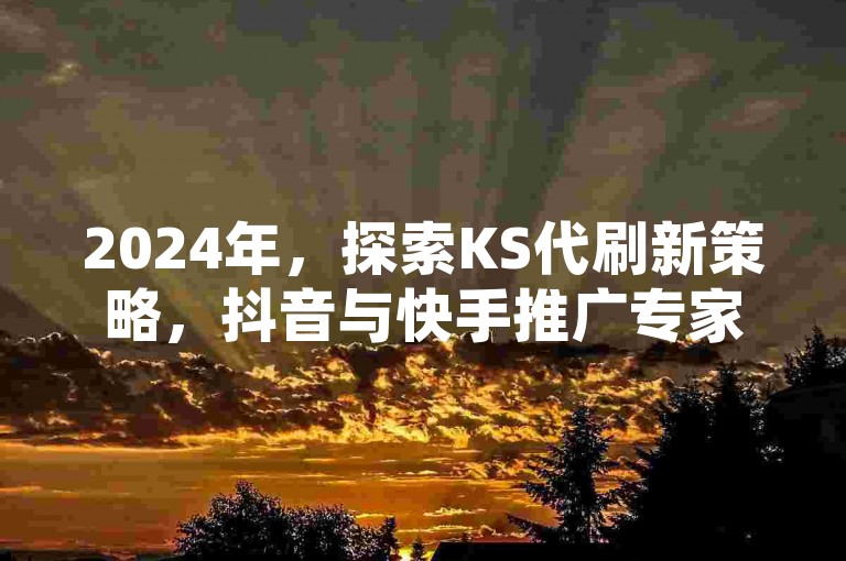 2024年，探索KS代刷新策略，抖音与快手推广专家提供全天候自助服务，打造网红之路，微利也能成就大梦想！