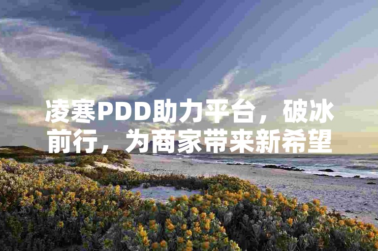 凌寒PDD助力平台，破冰前行，为商家带来新希望。