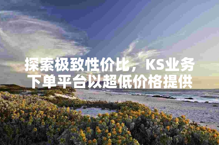 探索极致性价比，KS业务下单平台以超低价格提供高效服务，让您的业务腾飞！