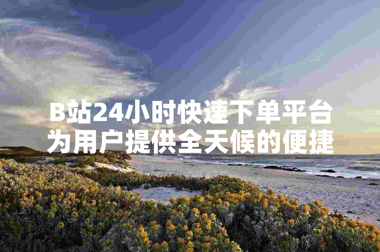 B站24小时快速下单平台为用户提供全天候的便捷服务。