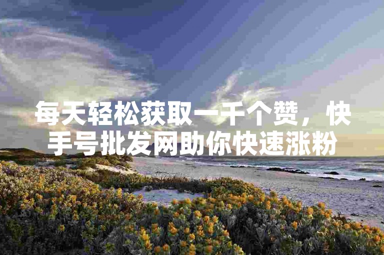 每天轻松获取一千个赞，快手号批发网助你快速涨粉。