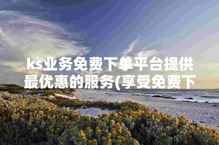 ks业务免费下单平台提供最优惠的服务(享受免费下单，选择ks平台绝对物超所值)。