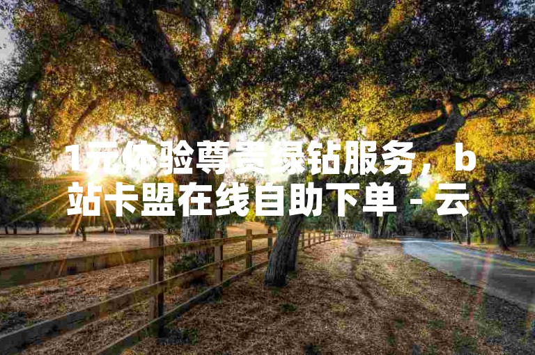1元体验尊贵绿钻服务，b站卡盟在线自助下单 - 云商城-在线下单