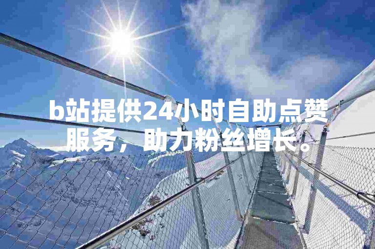 b站提供24小时自助点赞服务，助力粉丝增长。