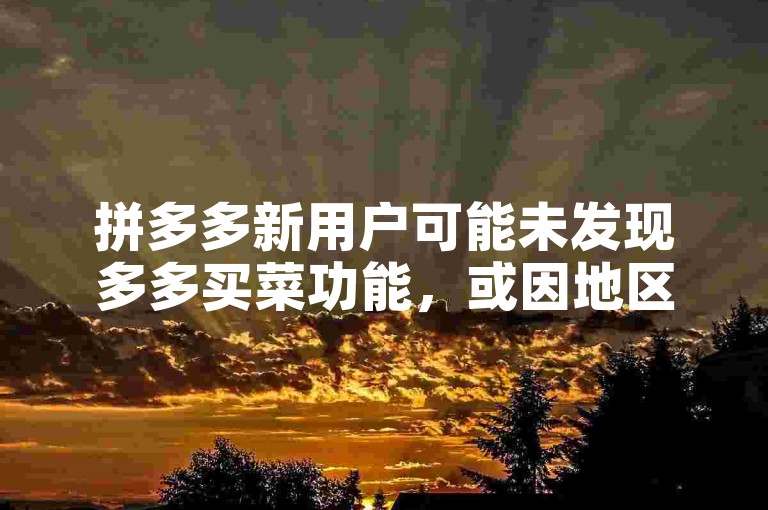 拼多多新用户可能未发现多多买菜功能，或因地区限制、账号问题等未能使用该服务。