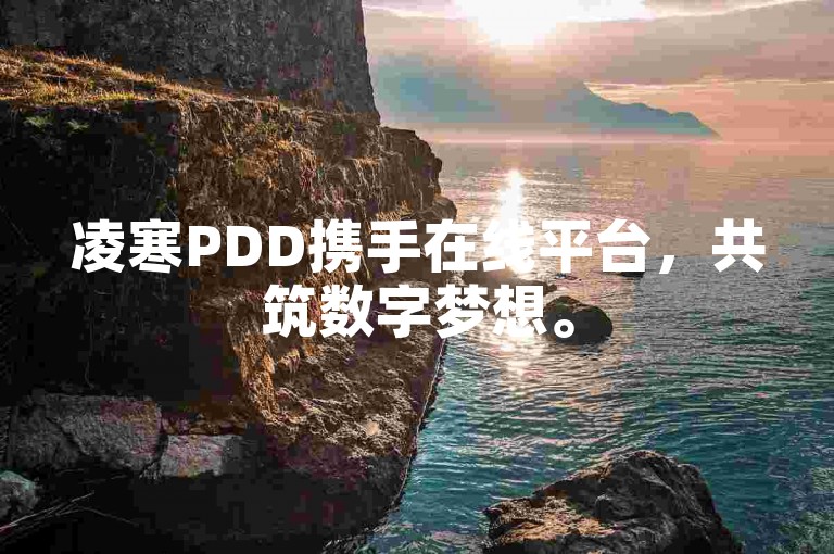 凌寒PDD携手在线平台，共筑数字梦想。