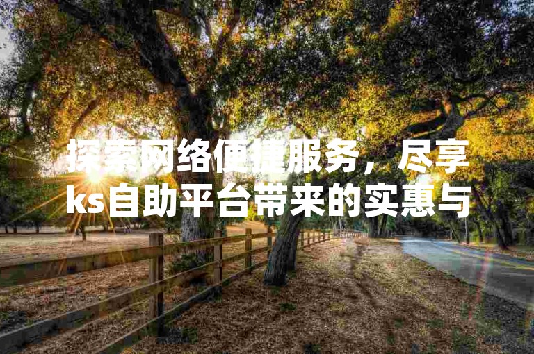 探索网络便捷服务，尽享ks自助平台带来的实惠与高效 - dy赞在线自助下单，让点赞变得更加简单快捷。