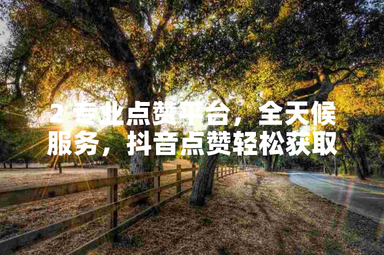 2 专业点赞平台，全天候服务，抖音点赞轻松获取。