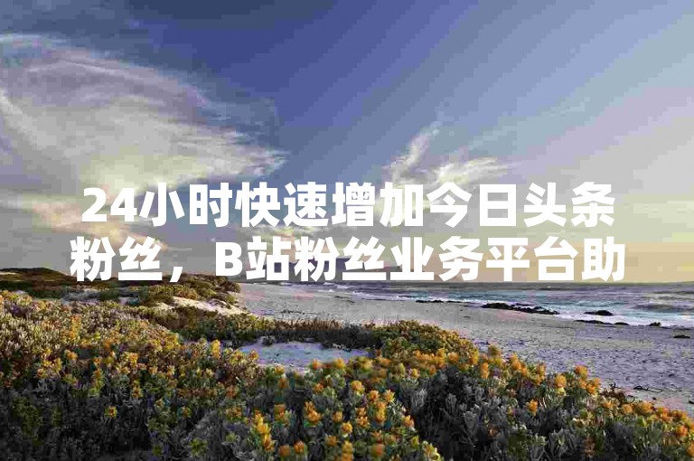24小时快速增加今日头条粉丝，B站粉丝业务平台助力内容创作者迅速提升影响力。