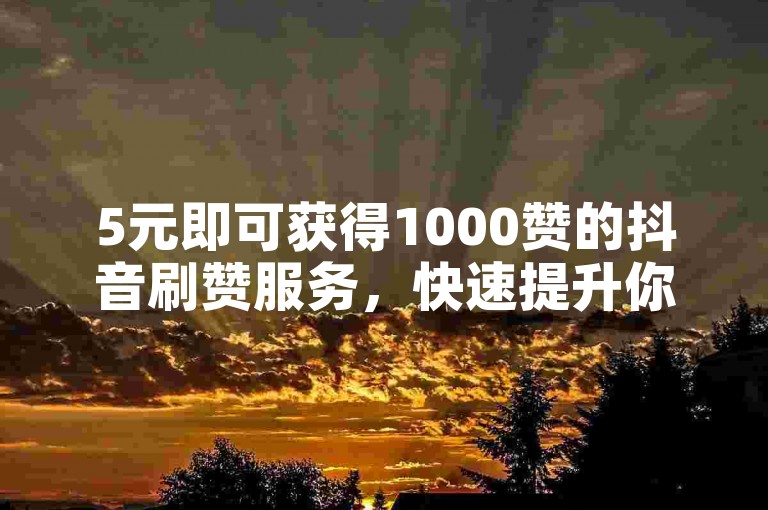 5元即可获得1000赞的抖音刷赞服务，快速提升你的视频热度。