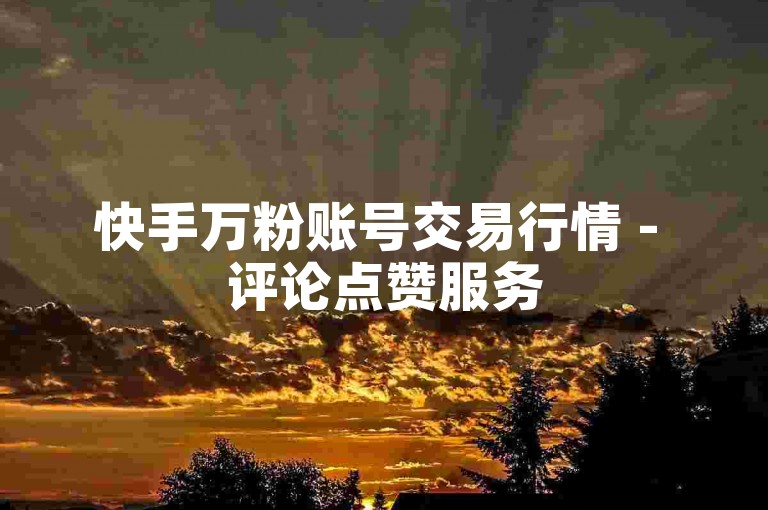 快手万粉账号交易行情 - 评论点赞服务