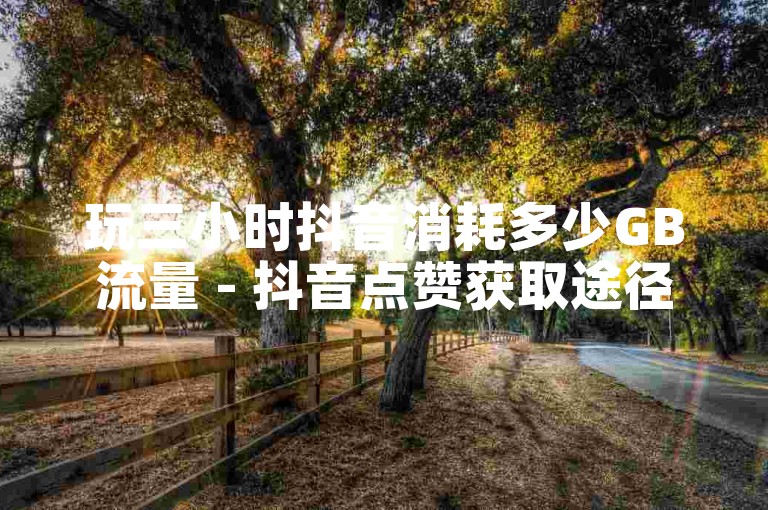 玩三小时抖音消耗多少GB流量 - 抖音点赞获取途径, 如何在抖音迅速积累一万名粉丝, 奥山与YY的互刷技巧