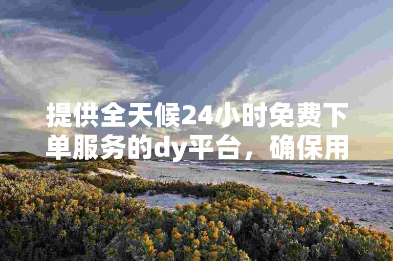 提供全天候24小时免费下单服务的dy平台，确保用户随时享受便捷的购物体验。