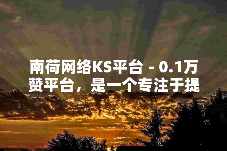 南荷网络KS平台 - 0.1万赞平台，是一个专注于提供高质量内容和互动体验的社交媒体平台。