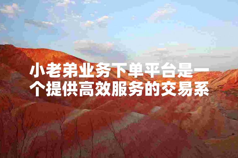 小老弟业务下单平台是一个提供高效服务的交易系统。