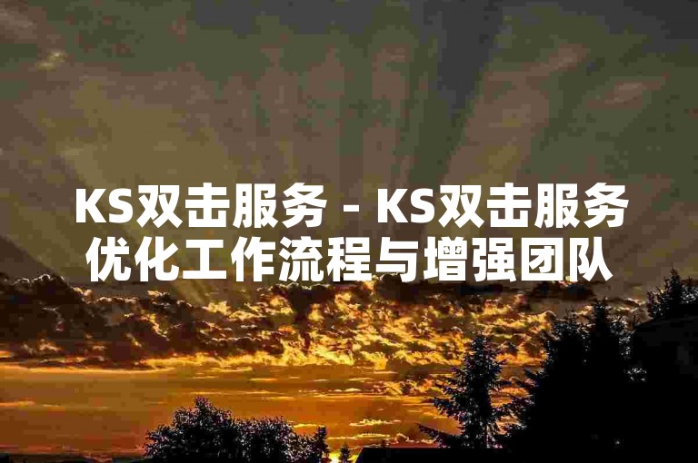 KS双击服务 - KS双击服务优化工作流程与增强团队协作！
