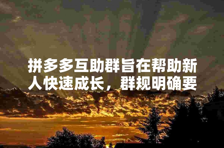 拼多多互助群旨在帮助新人快速成长，群规明确要求成员间应相互支持，共同进步。