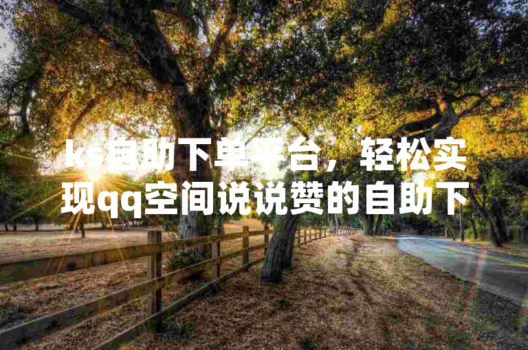 ks自助下单平台，轻松实现qq空间说说赞的自助下单。