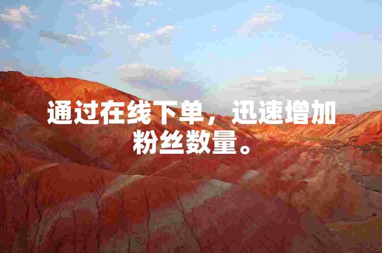 通过在线下单，迅速增加粉丝数量。