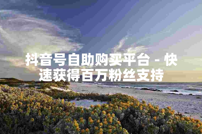 抖音号自助购买平台 - 快速获得百万粉丝支持