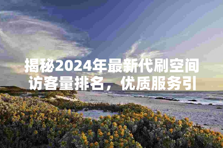 揭秘2024年最新代刷空间访客量排名，优质服务引领行业！