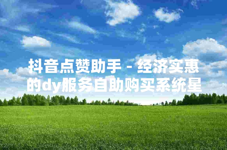 抖音点赞助手 - 经济实惠的dy服务自助购买系统星辉