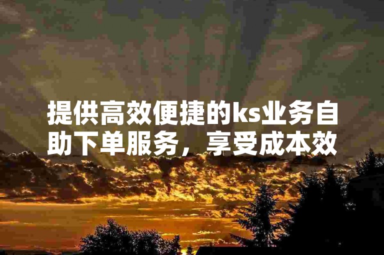 提供高效便捷的ks业务自助下单服务，享受成本效益高的推广解决方案。
