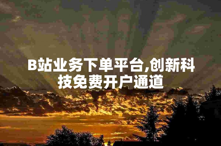B站业务下单平台,创新科技免费开户通道