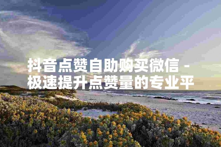 抖音点赞自助购买微信 - 极速提升点赞量的专业平台。