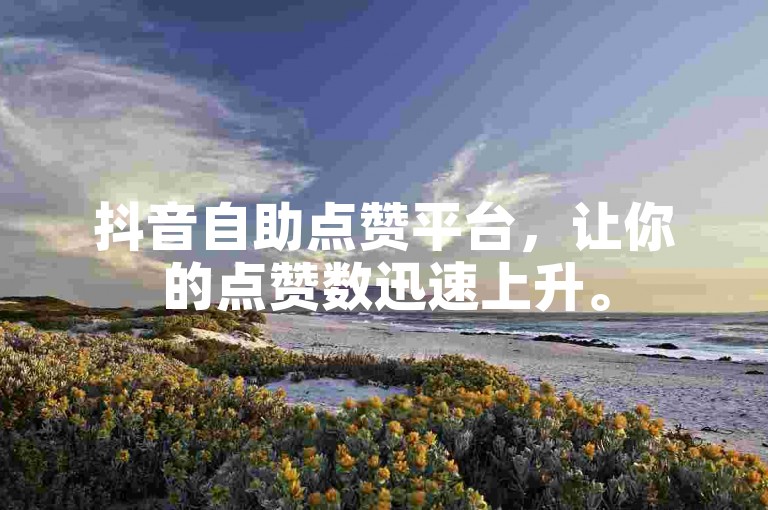 抖音自助点赞平台，让你的点赞数迅速上升。