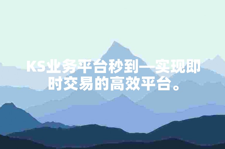 KS业务平台秒到—实现即时交易的高效平台。