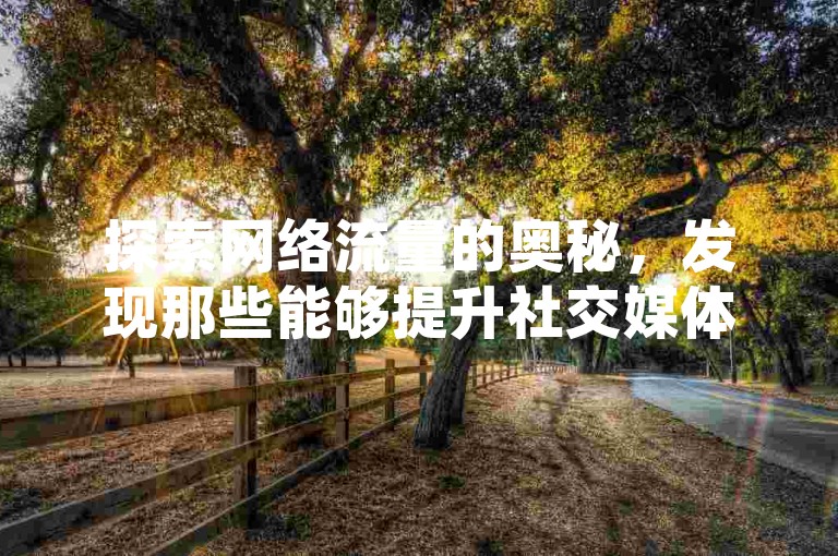 探索网络流量的奥秘，发现那些能够提升社交媒体关注度的秘密通道，就像是在数字世界中找到了一扇通往人气巅峰的大门。