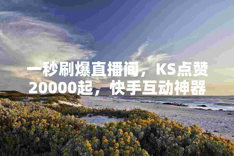 一秒刷爆直播间，KS点赞20000起，快手互动神器，人气飙升不是梦！