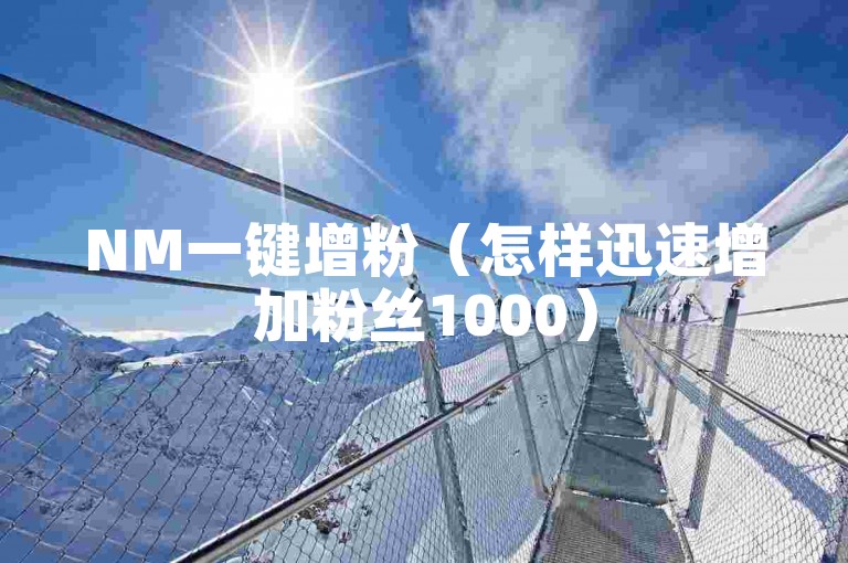 NM一键增粉（怎样迅速增加粉丝1000）