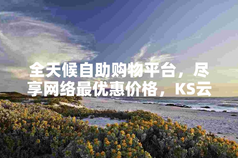 全天候自助购物平台，尽享网络最优惠价格，KS云商城，随时下单，便捷高效。