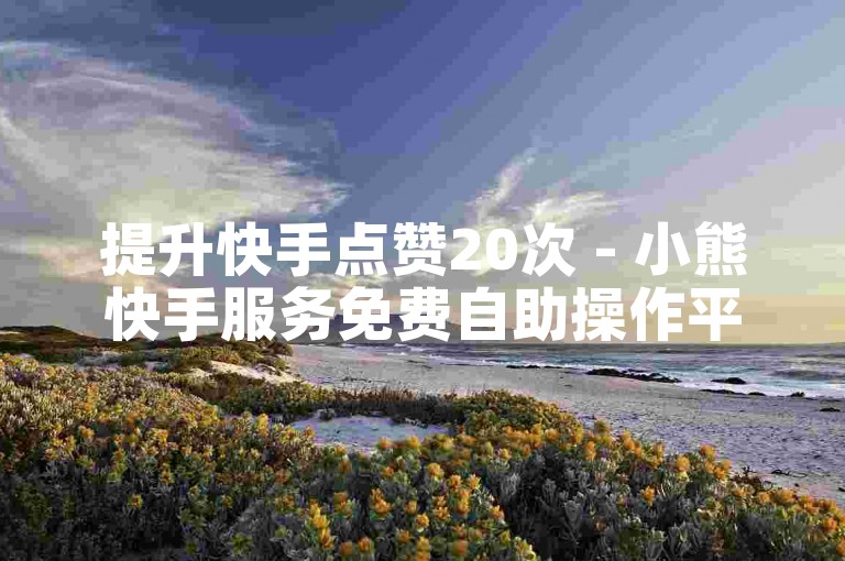 提升快手点赞20次 - 小熊快手服务免费自助操作平台
