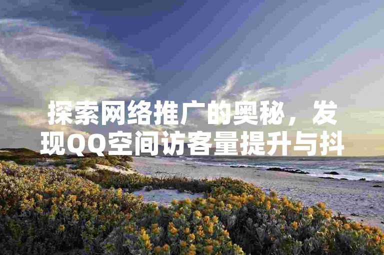探索网络推广的奥秘，发现QQ空间访客量提升与抖音自助推广的高效策略。