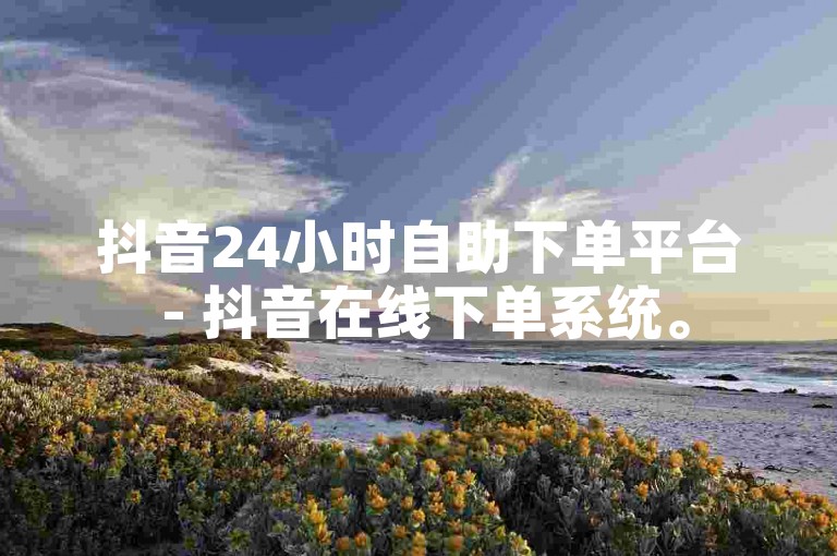抖音24小时自助下单平台 - 抖音在线下单系统。