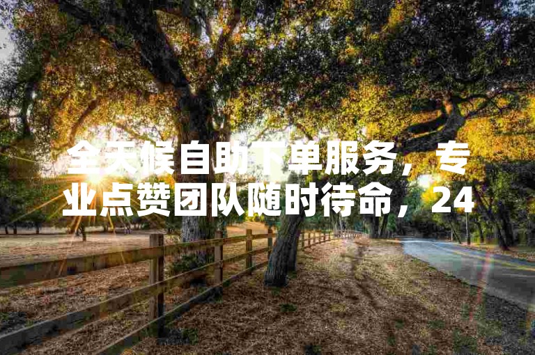 全天候自助下单服务，专业点赞团队随时待命，24小时在线提供支持。