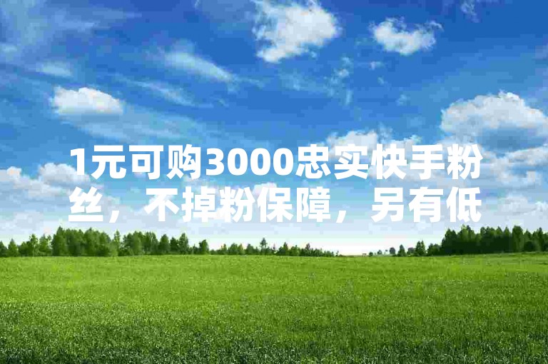 1元可购3000忠实快手粉丝，不掉粉保障，另有低价QQ业务网提供免费领取10000张名片平台及24小时自动发卡的游戏卡盟服务。