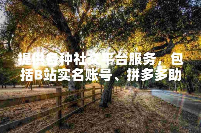 提供各种社交平台服务，包括B站实名账号、拼多多助力、一元十刀网页以及QQ下单业务等，还有空间免费和一元买赞的APP。