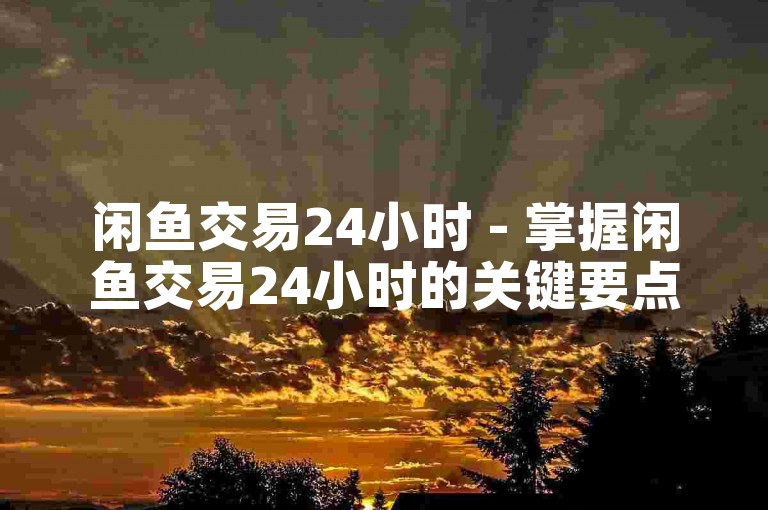 闲鱼交易24小时 - 掌握闲鱼交易24小时的关键要点！