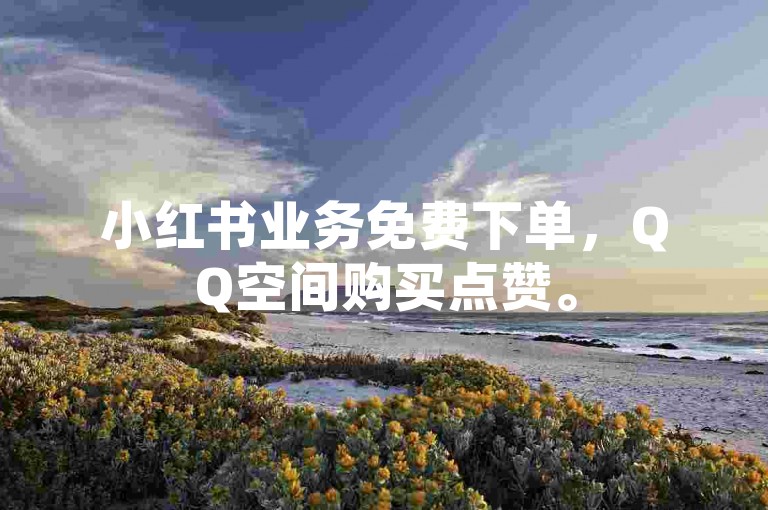 小红书业务免费下单，QQ空间购买点赞。