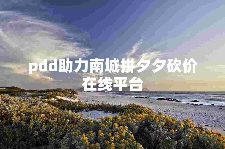 pdd助力南城拼夕夕砍价在线平台