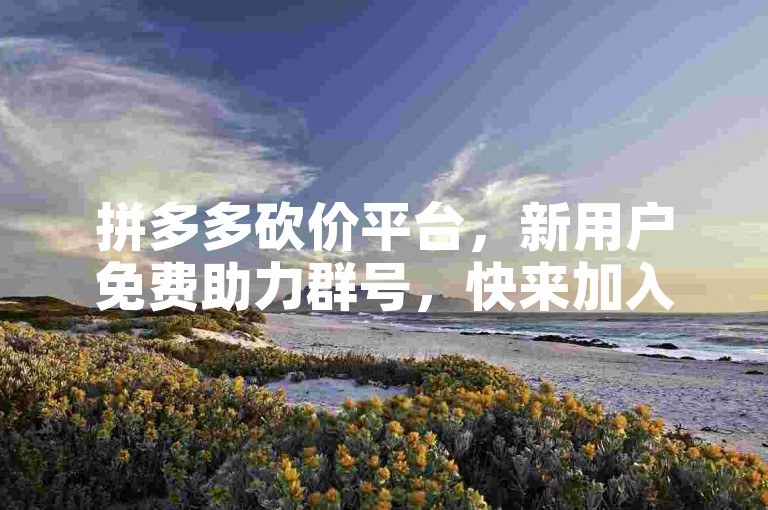 拼多多砍价平台，新用户免费助力群号，快来加入我们吧！