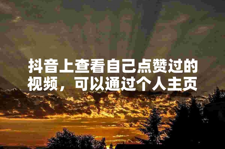抖音上查看自己点赞过的视频，可以通过个人主页的喜欢或赞选项进行查询。