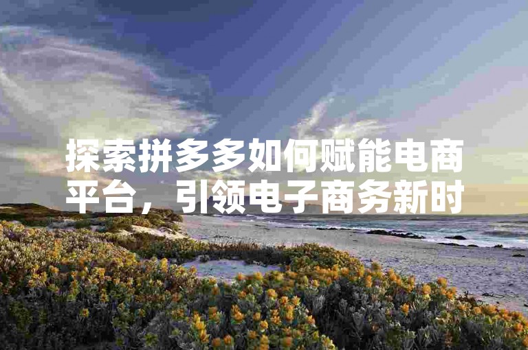 探索拼多多如何赋能电商平台，引领电子商务新时代的创新模式。