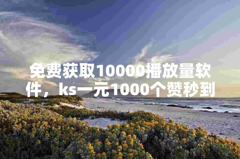 免费获取10000播放量软件，ks一元1000个赞秒到软件。