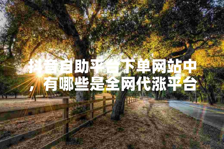 抖音自助平台下单网站中，有哪些是全网代涨平台的可靠选择？